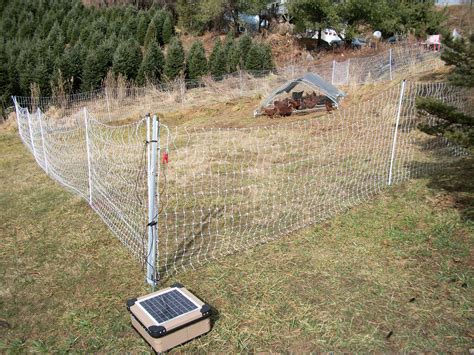 portable electric chicken fence netting